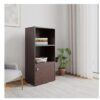 Nilkamal Boston Engineered Wood Book Case | Book Cabinet with 1 Open Shelf and 1 Cabinet Storage (New Wenge)